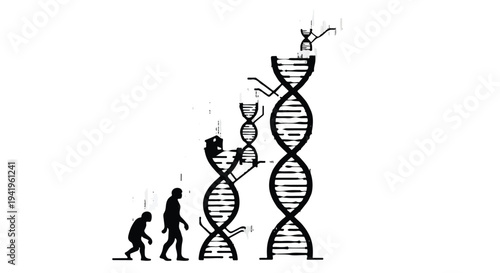 evolution of DNA structure and human development