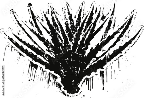 Black and white hand drawn aloe vera plant illustration with rough brushstroke and ink splatter effects