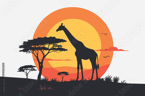 giraffe in the sunset