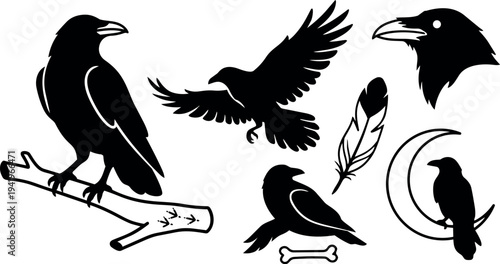 Black silhouette crow perched on branch flying bird with spread wings feather bone crescent moon vector art set