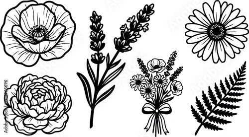 Detailed black and white botanical vector art set featuring poppy daisy ranunculus lavender bouquet and fern leaves with intricate line work