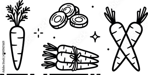 Minimalist black line art vector illustration of whole carrot carrot bunch and carrot slices isolated on white background simple vegetable icon set