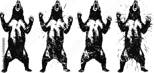 black and white bear illustration sequence showing standing roaring bears in grunge