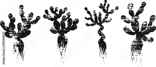 Grunge cactus silhouettes in various shapes spiny desert plants with textured distressed