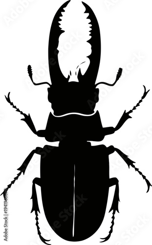 black stag beetle silhouette with large mandibles and segmented legs isolated on white