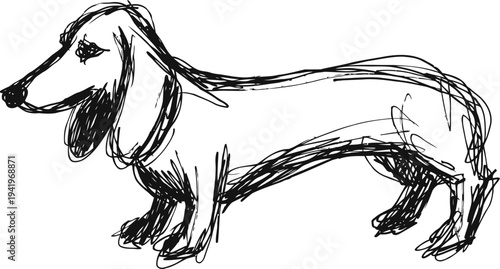 Dachshund dog sketch hand drawn long bodied hound with floppy ears and short legs simple black ink drawing