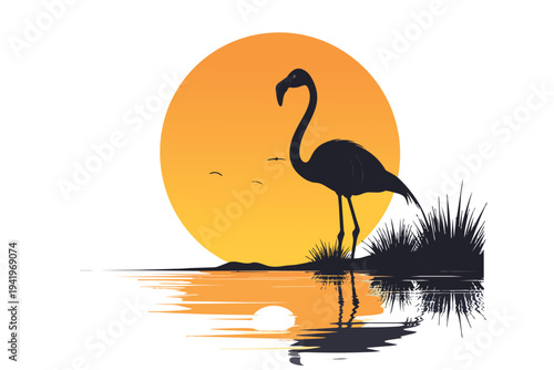 Beautiful pink flamingo bird vector illustration standing in the wild nature of a summer lake sunset with a silhouette of its beak reflected in the water
