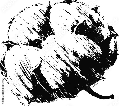 Abstract black and white cotton boll illustration vintage botanical sketch of cotton plant fruit