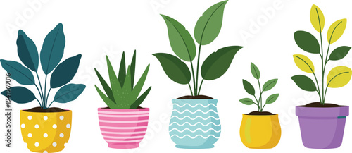 Vector Set of Potted Houseplants Featuring Various Green Indoor Plants in Colorful Decorative Pots with Polka Dots and Stripes Patterns