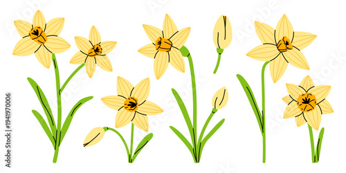 Vector set of cute yellow daffodil flowers and buds. Bright spring narcissus illustration for seasonal greeting card, easter design, wedding invite, packaging, pattern, logo and garden decor.