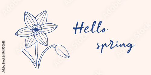 Vector hello spring greeting card with delicate daffodil line art flower and bud. Minimal navy blue narcissus illustration for seasonal postcard, social media banner, poster, elegant spring decor.