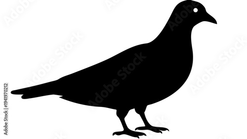 pigeon black silhouette icon, urban bird silhouette, transparent background