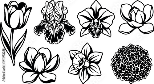 Black and white line art floral set including tulip iris orchid lotus daffodil and hydrangea flower vector design