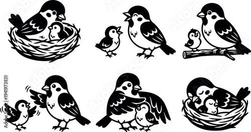 Black and white flat design mother bird caring for baby birds in nest and branch various poses vector art illustration