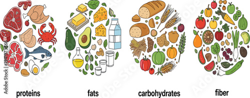 Macronutrients and Fiber Food Groups Vector Illustration with Proteins Fats Carbohydrates and Dietary Fiber Healthy Nutrition Infographic Set