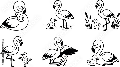Black and white line art flamingo mother and baby illustrations cute standing and resting in natural wetland environment minimal vector design set
