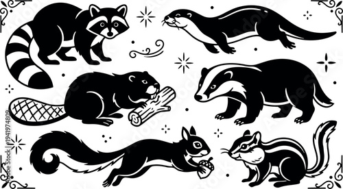 Black and white vector art of forest animals including raccoon beaver otter badger flying squirrel and chipmunk holding natural items with decorative stars