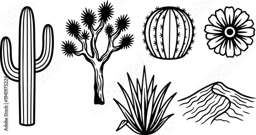 Black and white flat design desert plants collection including saguaro cactus yucca tree barrel cactus flower and aloe vera leaf vector art