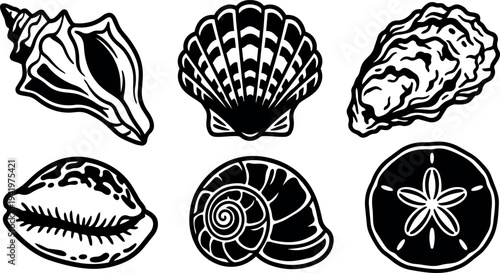 Black and white vector illustrations of six different sea shells and a sand dollar icon set detailed flat design collection