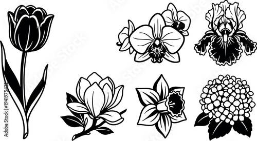 Black and white vector art featuring detailed tulip orchid iris magnolia daffodil and hydrangea flower icons isolated on white background