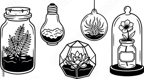 Black and white line art botanical terrariums with ferns succulent flower in glass jars and dome container set illustration