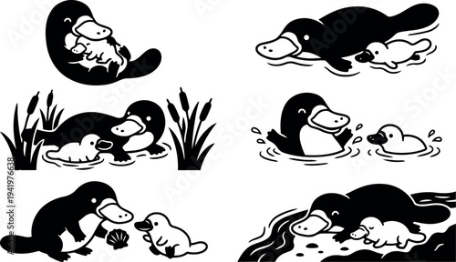 Black and white vector art of mother platypus with baby swimming resting playing near water plants and shore in various poses and gestures