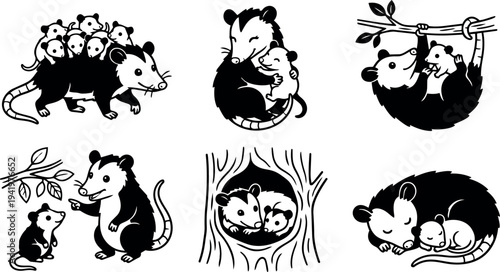 Black and white vector art of possum family with mother carrying babies hugging playing sleeping and pointing in forest