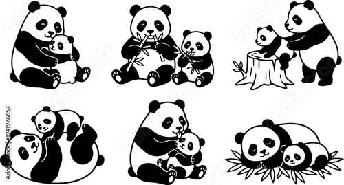 Black and white flat design panda parents hugging playing eating bamboo and resting with cubs vector illustration
