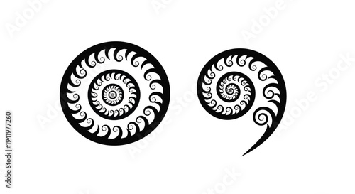 Intricate spiral designs create a striking black shape silhouette