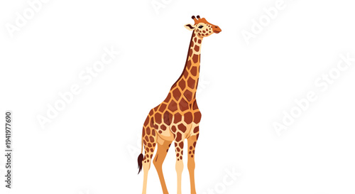 Majestic giraffe standing tall with elegant neck and legs