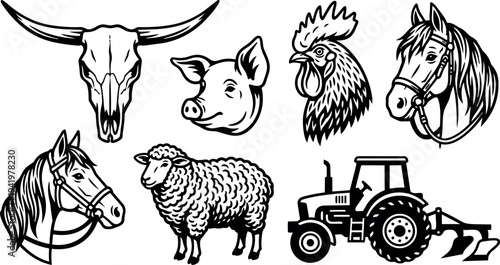 Black and white detailed animal heads and tractor vector art set with steer skull pig sheep rooster and horses farm machinery collection