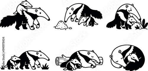 Black and white vector art of anteater mother and baby in various playful and resting poses simple minimalist style
