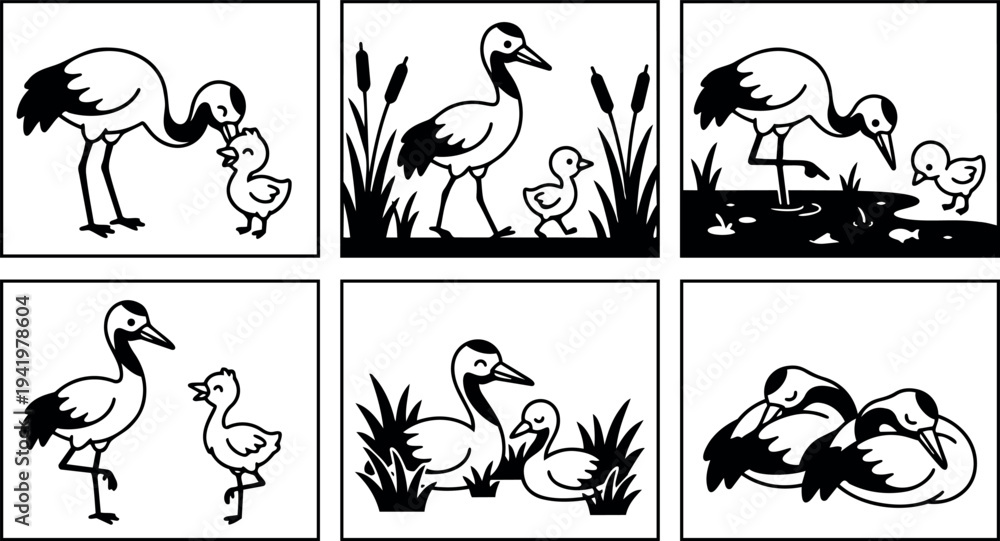 Naklejka premium Black and white vector art of cranes and chicks interacting near water and grass in different natural poses and peaceful outdoor scenes illustration