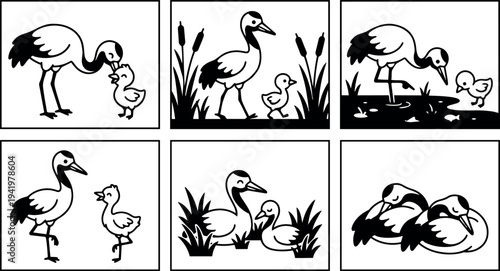 Black and white vector art of cranes and chicks interacting near water and grass in different natural poses and peaceful outdoor scenes illustration