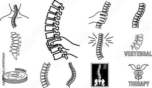 Comprehensive human spine anatomy and chiropractic therapy line art icon collection depicting vertebral health and medical treatment