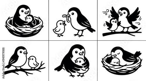Vector art showing caring parent bird feeding protecting and warming young bird in nest different gentle bird family interaction scenes in black and white