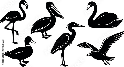 Black silhouette vector art of flamingo standing heron pelican duck swan and flying seagull birds in simple flat style isolated on white background