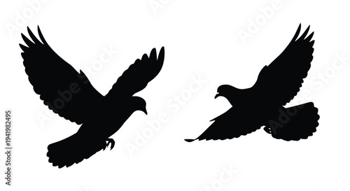 Two birds in flight captured as a striking black silhouette