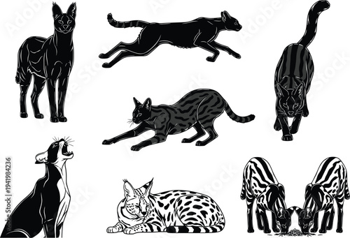 wildlife silhouette, big cat vector, zebra illustration, flat vector, hyena artwork, animal silhouette, predator mammal, nature icon, walking zebra, feline artwork
