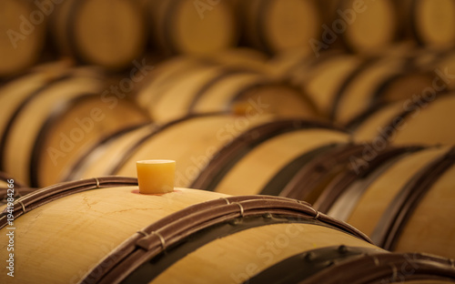 Slika na platnu Wine barrel with silicone bung in winery cellar