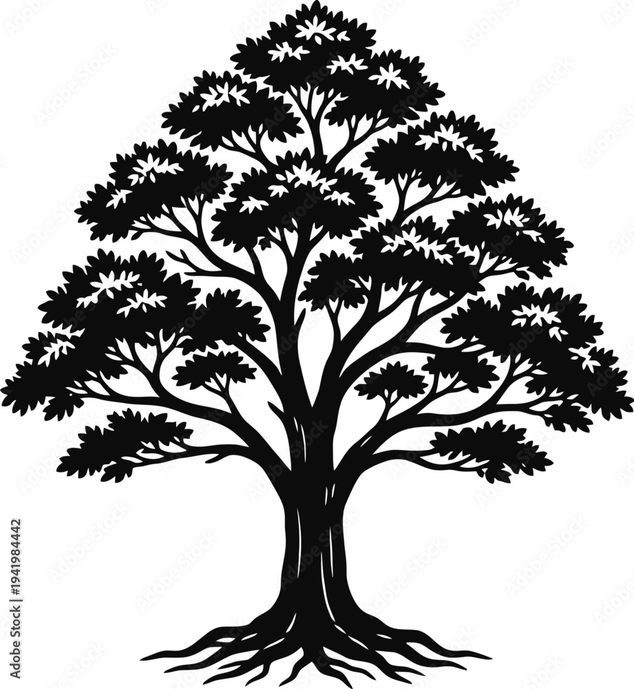 Fototapeta premium Tall Oak Tree Silhouette