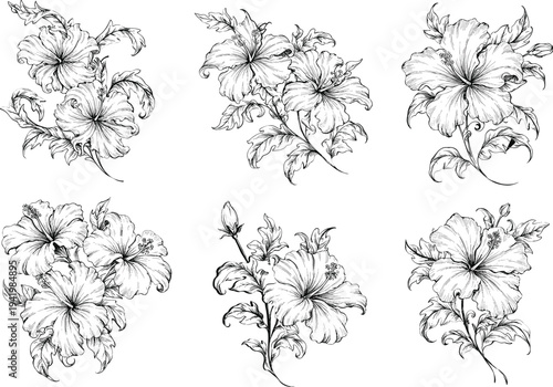 Intricate black and white hibiscus flower illustrations showcasing detailed petals, leaves, and buds arranged artistically for botanical and design inspiration