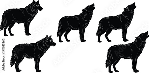 Wolf silhouettes collection, howling and standing poses, wild animal illustration set, wildlife predator design, nature vector art