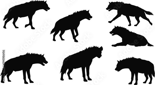 Wolf silhouettes vector set, black flat design, wild canine poses standing, walking, running, lying, natural predator behavior, spiky fur detail