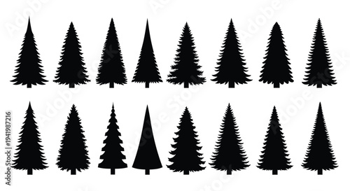 Collection of various evergreen trees depicted in dark silhouette