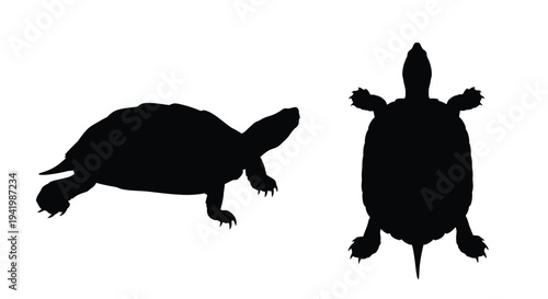 Two views of a turtle depicted in black a striking silhouette