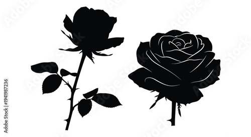 Two elegant roses in a striking black silhouette