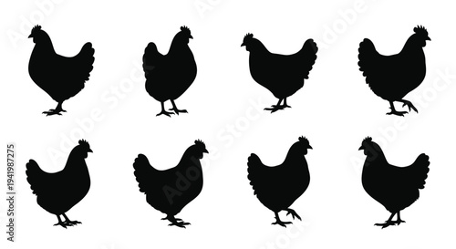 A collection of black chicken silhouettes in various poses
