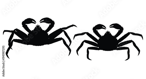 Two black crabs are depicted in a striking minimalist silhouette