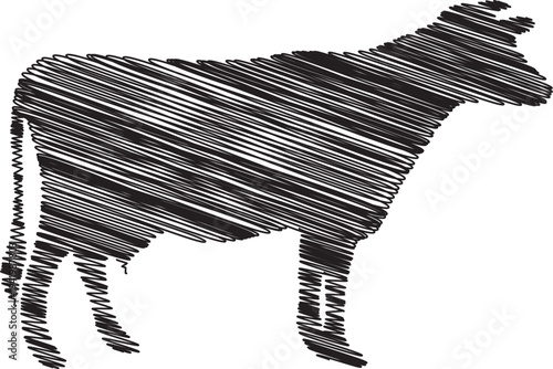 A black and white cow standing profile view